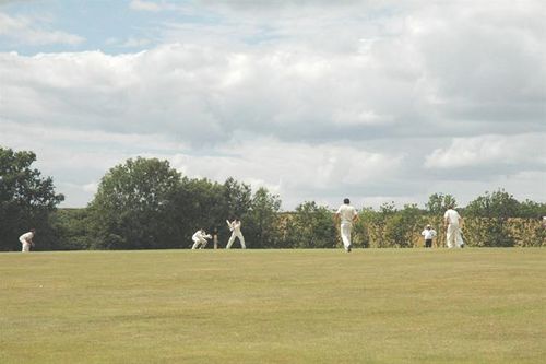 Ollie Mills plays off the back foot